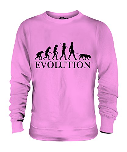 Sweat Labrador Retriever Évolution fini les pulls rêches et froids