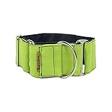 Fabricado a mano en España ThePetLover - Collar para Perros Martingale, L