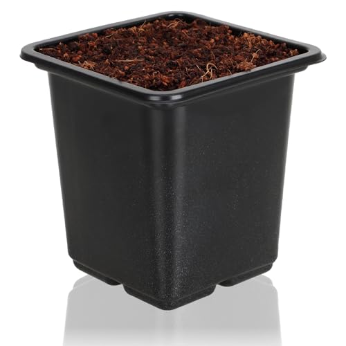 com-four® 60x Anzuchttöpfe für Pflanzen 7,5 cm - Pflanztöpfe für die Anzucht - Blumentopf für die Pflanzenzucht, Vierecktopf mit Löcher an der Unterseite (060 Stück - Anzuchttopf 7.5x8cm)