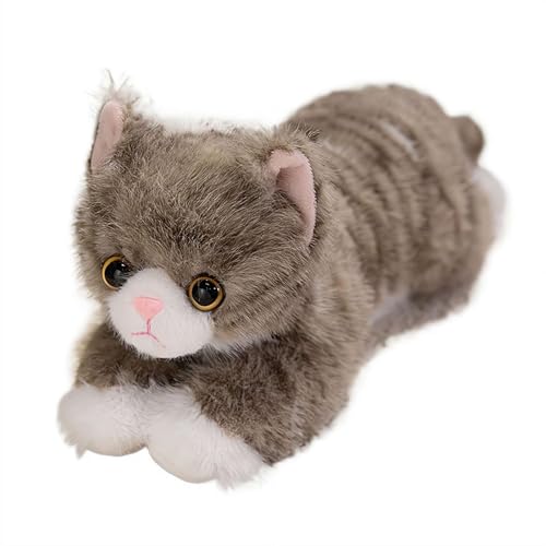 Lʂ A { S40cm  ʂ ӂӂ  lR ܂ NbV  킢l` YQ܂ G GObY N LO X [sAi]