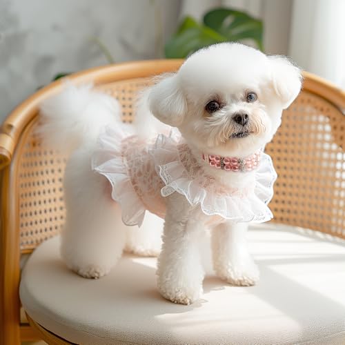 Image of HOWWFALY Dog Cat Pearl Collars with Crystal Rhinestone PU Leather Collars Necklace Adjustable CollarDog Chain Cat White Pearl Pet Collar(Pink, Small)