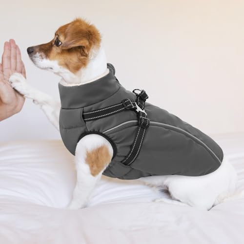 CITÉTOILE Hundemantel Hundejacke Warm Wintermantel mit Reißverschluss Winddichte & Winddichte mit Reflektorstreifen & Brustgurt für kleine Mittel Große Hunde Grau XS
