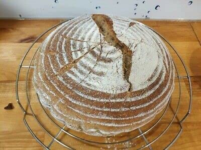 Wwjd 233Yr Old Verified Heritage San Francisco Sourdough Starter #TOP2