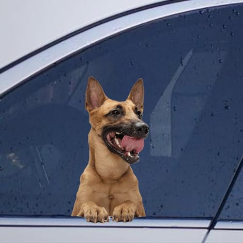 Image of Belgian Shepherd Stickers for Car Window, Funny Animals Pet Dog Lover Gift, Vinyl Die Cut Decal, Laptop and Bumper Stickers