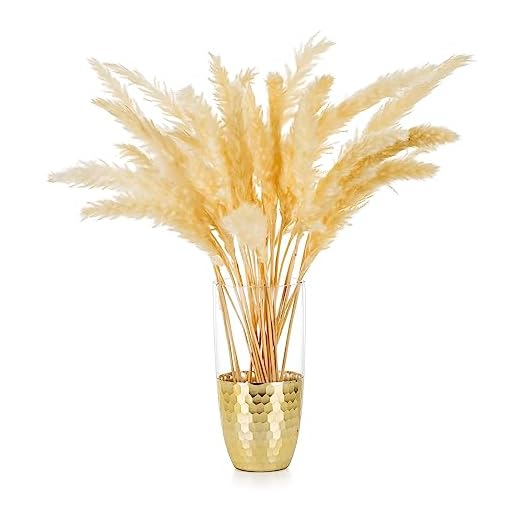 Glasvas för blommor guld: Långa små vaser för pampasgräs moderna cylindervaser för vardagsrum bordsdekoration vintage bröllop mittpunkt sovrum ornament