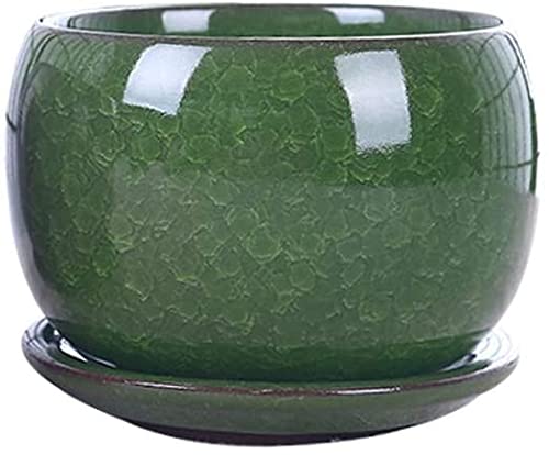 Amazon.co.jp: ZXKYZR8 氷で割った釉薬セラミック多肉植物の植木鉢