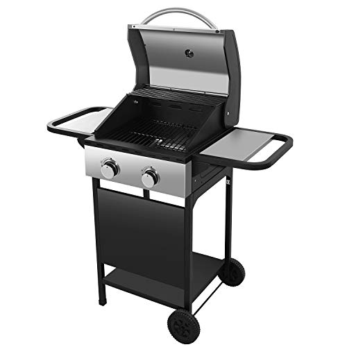 R.W.FLAME Liquid Propane Gas Grill with 2 Burners,Enamelled Cooking