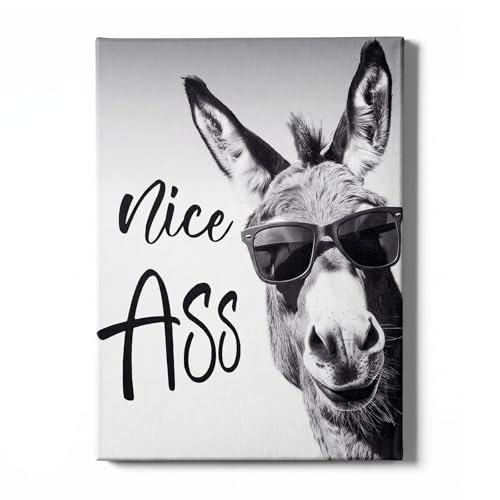 Image of Thhiit canvas wall art pictures, 8x12 Inch Funny Donkey Framed wall art for bathroom Bedroom and Living Room