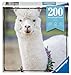Ravensburger Puzzle Moment: Alpaca 200 Piece Jigsaw Puzzle for Adults - 13270 - Every Piece is Unique, Softclick Technology Means Pieces Fit Together Perfectly