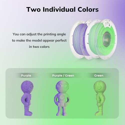 Image of AMOLEN Matte PLA 3D Printer Filament - Dual Color Green Purple Filament, Smooth Finish Color Change 3D Printing Filament 1.75mm, 1KG /2.2lb