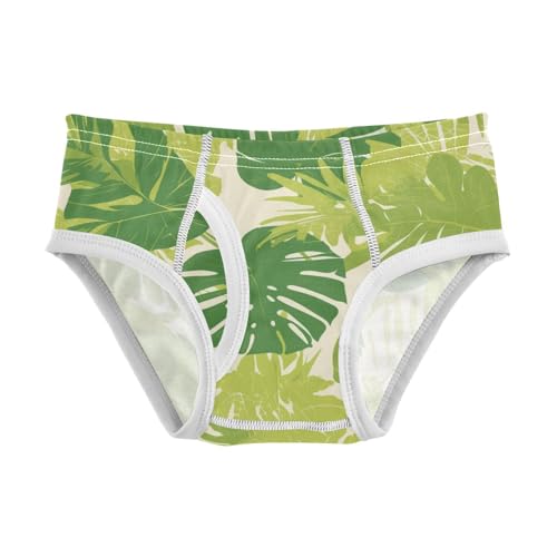 KLL Tropical Greens Leaves Baby Boys Pure Cotton Underwear Briefs Breathable Undies