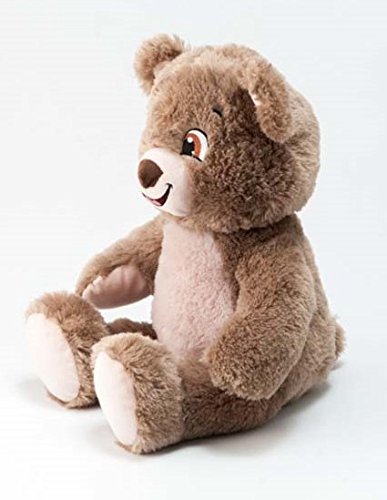 sad bear plush