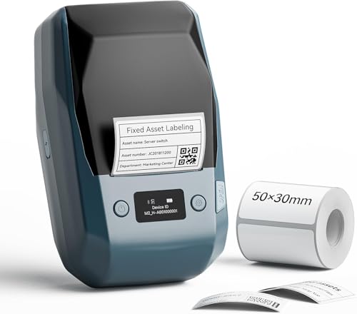 NIIMBOT M2 Impresora de etiquetas Transferencia Térmica, 300DPI Etiquetadora Color Autoadhesivo para Oficina, Pequeña Empresa, Jardín, Compatible con Móviles y PC (Blanco)
