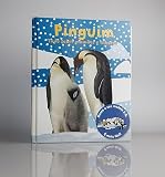 tudo sobre mames e filhotes pinguins