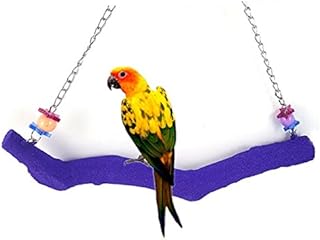 Bird Parrot Swing Perch Cage Hanging Toy Scrub Wood Stand for Conures,Parakeets Cockatiels,Macaws,Finches,Love Birds (L-11.8" in)