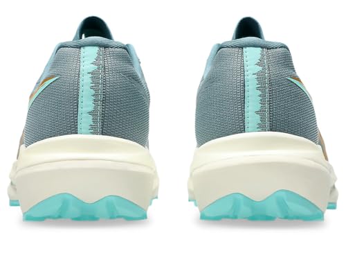 Image of ASICS FUJISPEED 4