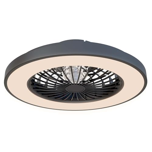 Ledvion - Ventilador de Techo con Luz LED Regulable, 48W, 2700K-6500K, Incluye Mando a Distancia, 49cm, Silencioso con Función de Temporizador