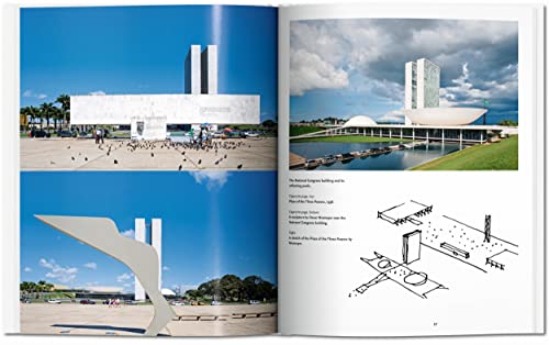 Niemeyer: The Once and Future Dawn (Basic Art)