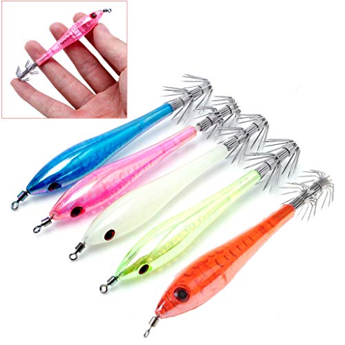 MOMOJIA 5 peças que brilham no escuro luminoso lula cuttlefish iscas de pesca, anzóis de isca