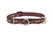 LupinePet 3/4-Inch Down Under 14 to 20-Inch Combo Dog Collar