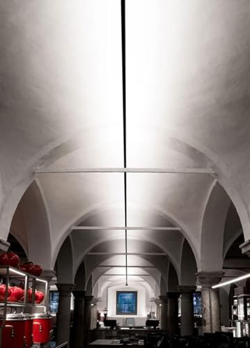 MOLOURK Moderne Wandleuchte LED Skyline Dimmbar Mit Fernbedienung COB Korridor Lineare Wandlampe Innen Edelstahl Verstellbar Strips Wandbeleuchtung für Wohnzimmer Schlafzimmer (6M,white)