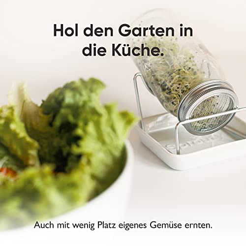 SPROUTY | Sprossenglas Keimglas Set inkl. 2X Sprossensamen |2X Keimglas + 2X Sprossensamen + Sprossen ABC | Sprossen Anzuchtset… - Image 7