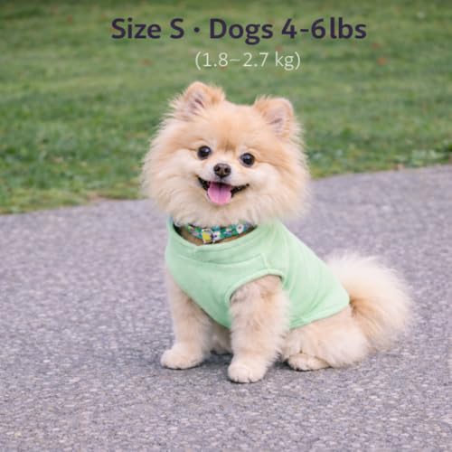 Image of JACKO & CO - Fleece Vest Dog Sweater with Leash Ring - Soft, Warm & Lightweight Pullover Coat for Small & Medium Dogs, Puppies & Cats - Cozy Fall /Winter /Spring Pet Jacket (Mint Green, Small 4-6lbs)