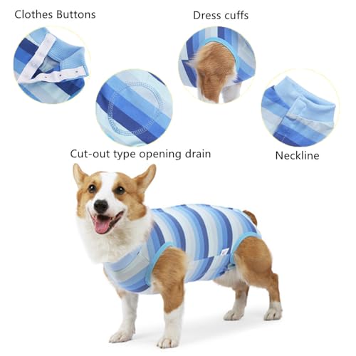 Image of Dog Recovery Suit for Dogs After Surgery,Dog Onesie for Surgery Male and Female,Abdominal Wounds Post Surgical Recovery, Prevent Licking Surgical Wound,Substitute E-Collar & Cone,M