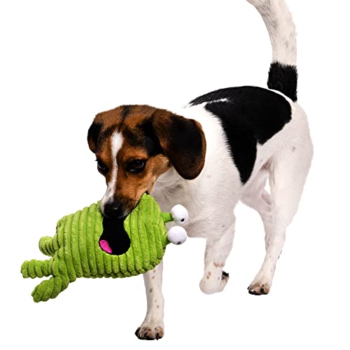 Image of goDog PlayClean Germs Squeaky Plush Dog Toy with Odor-Eliminating Essential Oils, Chew Guard Technology - Green, Large