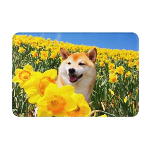 ���փ}�b�g �Č� �� ���� ���O ����~�� �􂦂� �k���� �t�����l�� �z������ �h�L �R�� ���� ������� 40×60cm �o�X�}�b�g �L�b�`���}�b�g