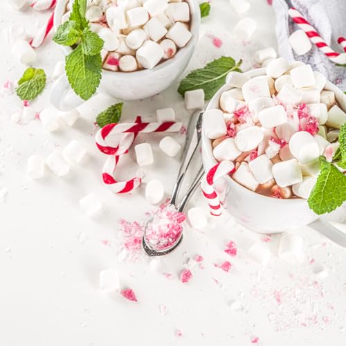 Stephen's Gourmet Candycane Hot Cocoa Powder Drink Mix Canister, 35 oz (Pack of 1)