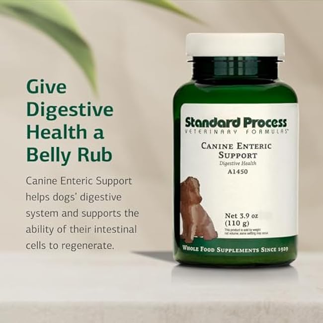 Standard Process Canine Enteric Support - Digestive System Support for Dogs - Nutritional Dog Supplement for Gut Health - Canine Supplement Formula to Aid Healthy Digestion - 110 g-mzVDyStp