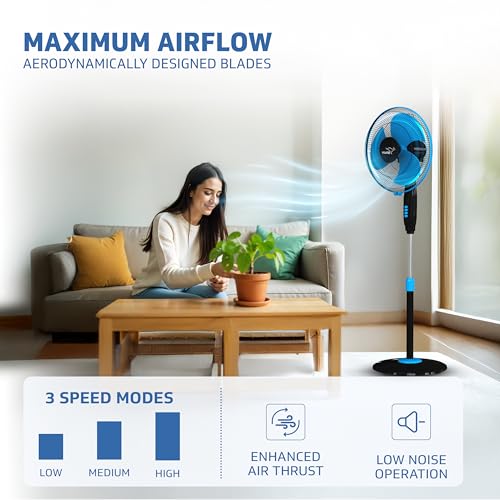 Product Variant View