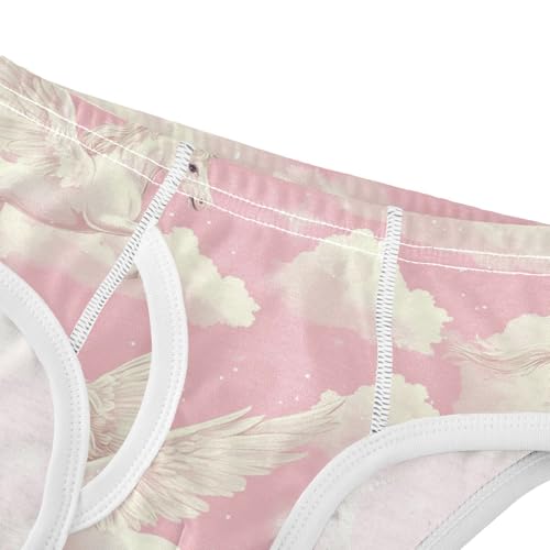 Winged Unicorns Boys' Underwear Cotton Clouds Boys Briefs Soft Toddler Underwear 2T4
