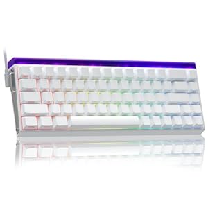 Hero 68 Gaming Tastatur Mechanisch,Hall Effect Magnetic Switch,0.01mm Einstellbare Betätigung Rapid Trigger,8000 Polling Rate (Weiß-Semantic Magnetic Switches)