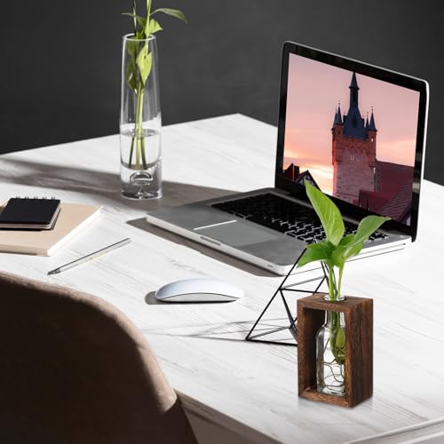 Boutures et terrarium : le support robuste en bois contre les chutes - 6