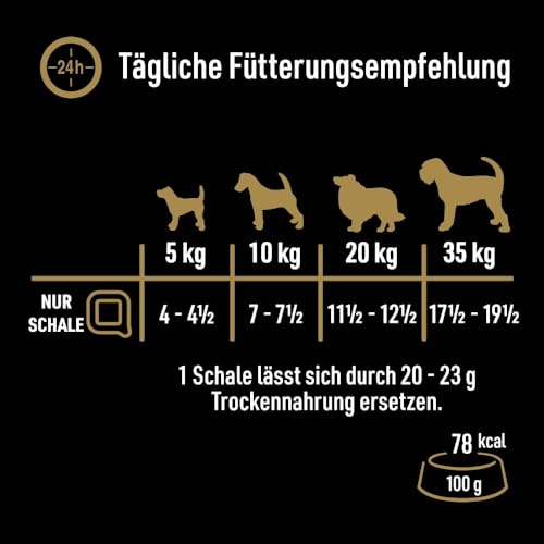 Cesar Natural Goodness Premium Bio Hunde Nassfutter in der Schale Terrine mit Fisch 16x100g