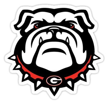 Georgia Bulldogs Car Motorcycle Bicycle Skateboard Laptop Luggage Vinyl Sticker Graffiti Laptop Decals Bumper Stickers by august999