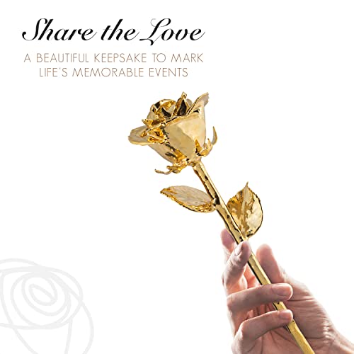 Image of Forever Rose 24K Gold Dipped Real Rose, Acrylic Heart & Gold Box