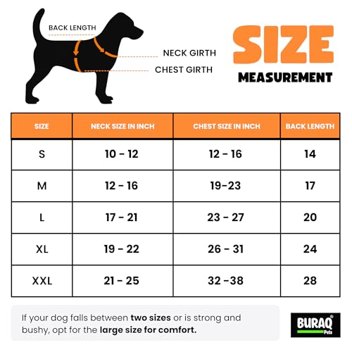 Image of Buraq Premium Dog Wedding Suit, Elegant Tuxedo with Bow Tie & Bandana, Comfortable, Washable Outfit for Dogs (M - Blue)