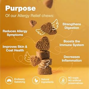 Dog Allergy Relief Chews Allergy Relief for Dogs Itching Anti Itch for Dogs Itchy Skin Seasonal Allergies Relief Hot Spot Treats with Probiotics Apple Cider Vinegar Dog Itch Relief Cucciolini Doodles Dog allergy relief chews allergy relief for dogs itching anti itch for dogs itchy skin seasonal allergies relief hot spot treats with probiotics apple cider vinegar dog itch relief cucciolini doodles