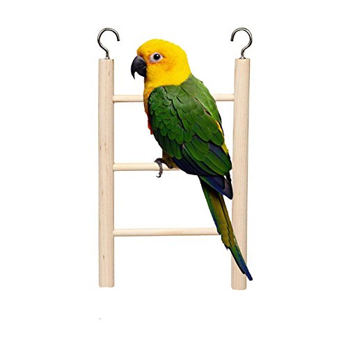 Sage Square 16cm Natural Wood Playful Climbing Cage Hanging 3 Steps Ladder Cum Toy for Birds (B07D1M8XVQ) Amazon Price History, Amazon Price Tracker