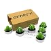 ornerx Decorative Cactus Tea Light Candles 6 Pcs