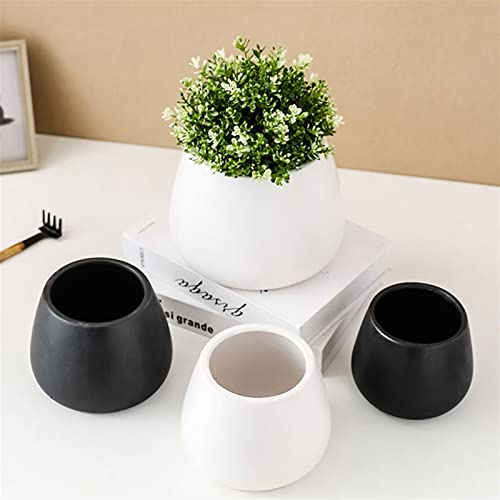 Pots de fleurs décoratifs en céramique ronde blanche haute finition - 6