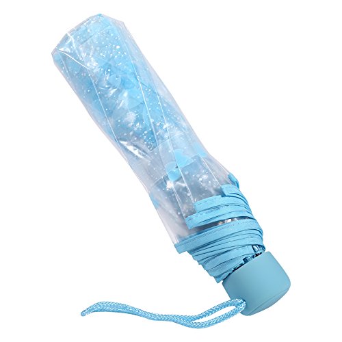 Annadue Transparenter Regenschirm, Transparente Klappschirm Modische Romantische Sonnenschirm Regenschirme für Herren und Damen(Blau)