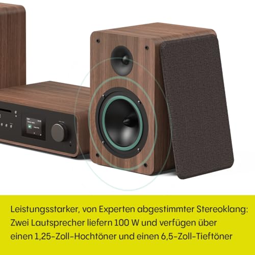 Pure Classic Stereo 252808