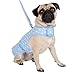 CueCue Pet Star Choke Free Harness Dress with Leash, Medium, Blue