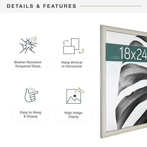 MCS Studio Gallery 18x24 Poster Frame Gray Woodgrain, Vertical & Horizontal Wall Hanging Large Picture Frame for Photos, Posters & Art Prints (1-Pack)