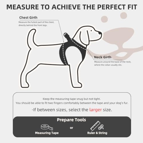 Image of Pupteck Adjustable No-Pull Dog Harness, Collar and Leash Set for Small Medium Dogs, Puppies and Cats, Soft Mesh Padded Reflective Chest Strap for Walking and Training (Black, S (Chest 14.5 inch-16 inch))