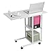 Laptop Table with Wheels, Notebook Computer Stand Bedside Table with 2 Tier Storage Shelf Overbed Table Laptop Desk Cart for Home Office Living Room